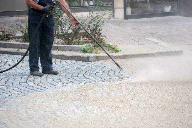 Best Roof Washing  in Bushland, TX